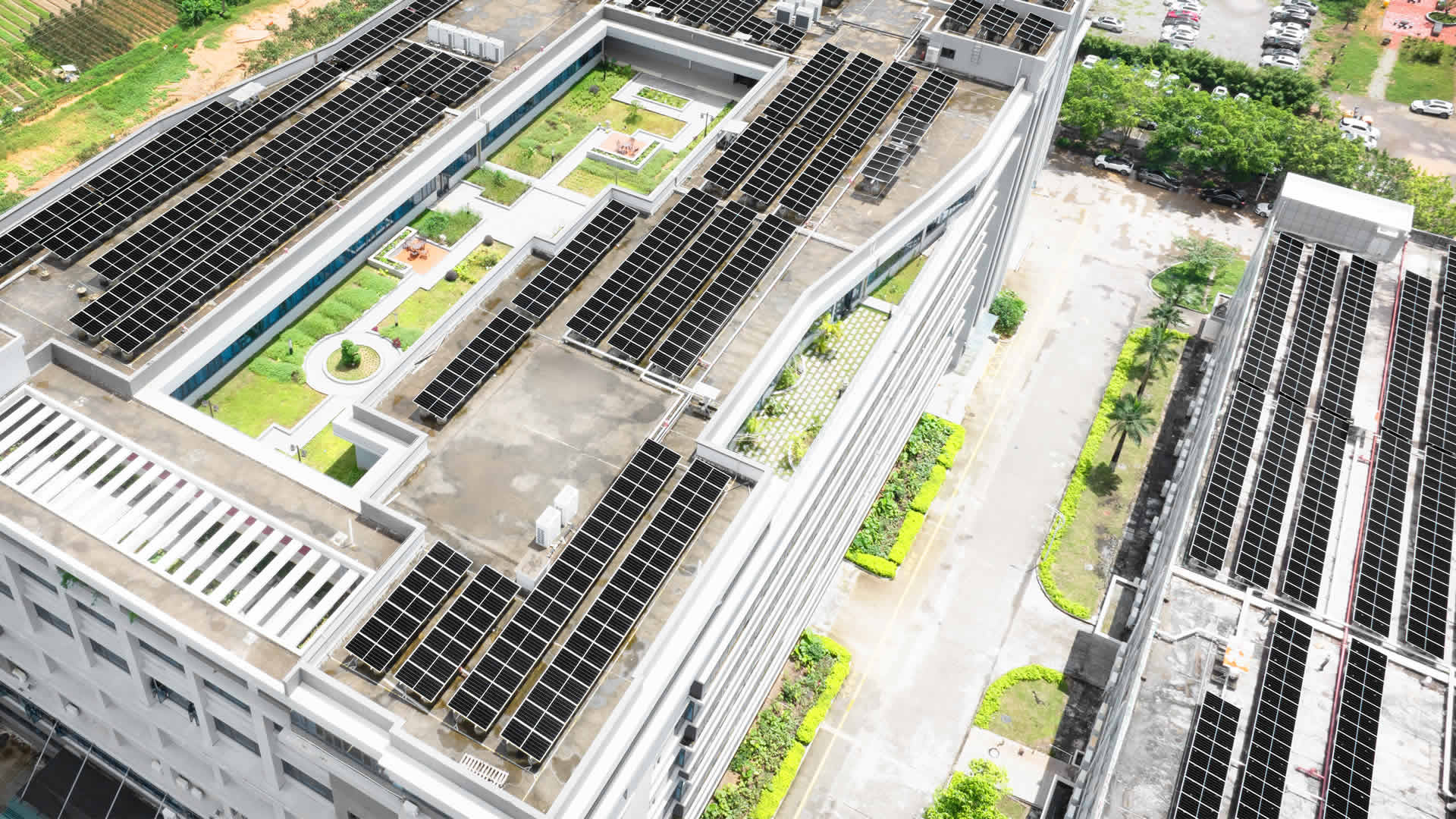 珠；诳萍及咐