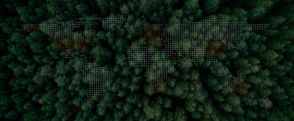 mg冰球突破全球零碳案例